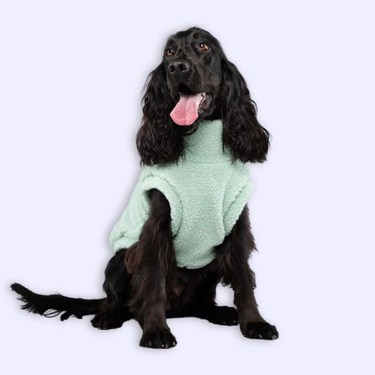 Press feature: Top Pet Shops for Fashionable Dog Clothes in South Africa (Pets24)