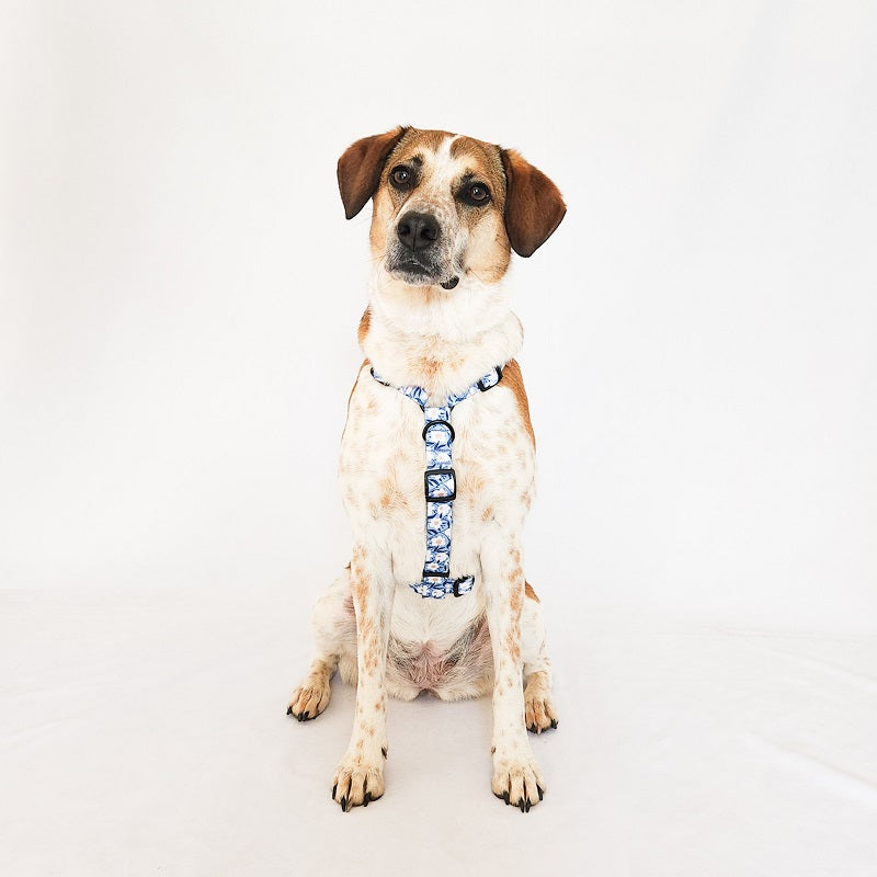 Dog harness ~ Oopsie Daisy