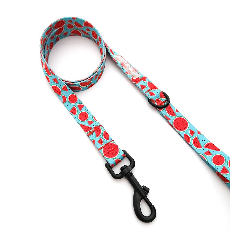 Melon-Dramatic ~ dog lead
