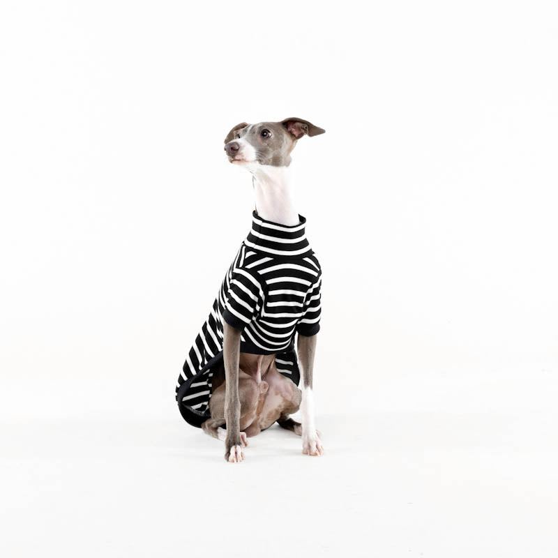 The Brittany stripe ~ dog jersey Black