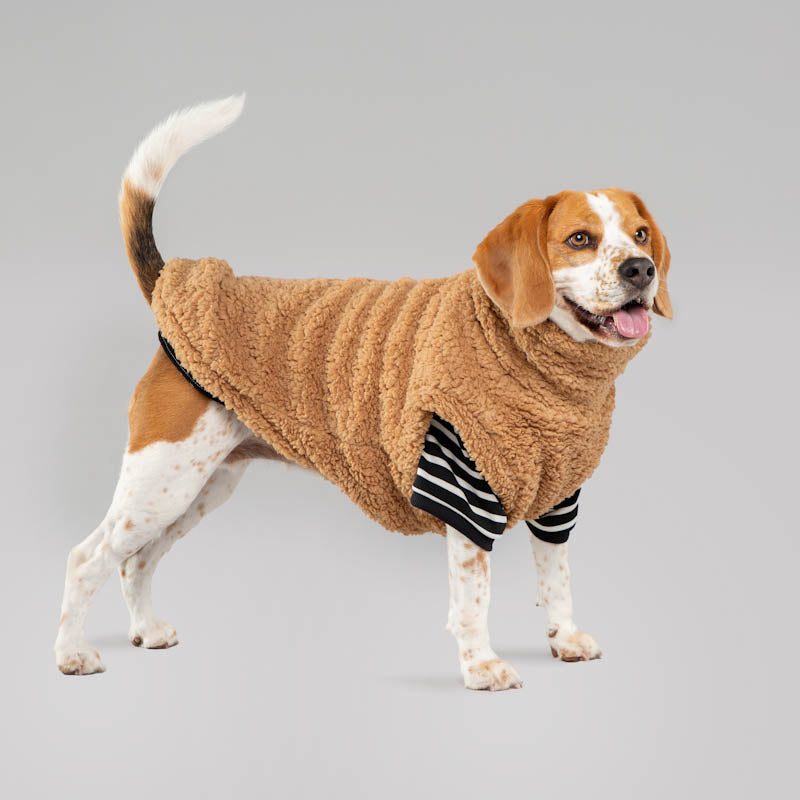 Teddy Fleece ~ I love you a Latte ~ dog jersey