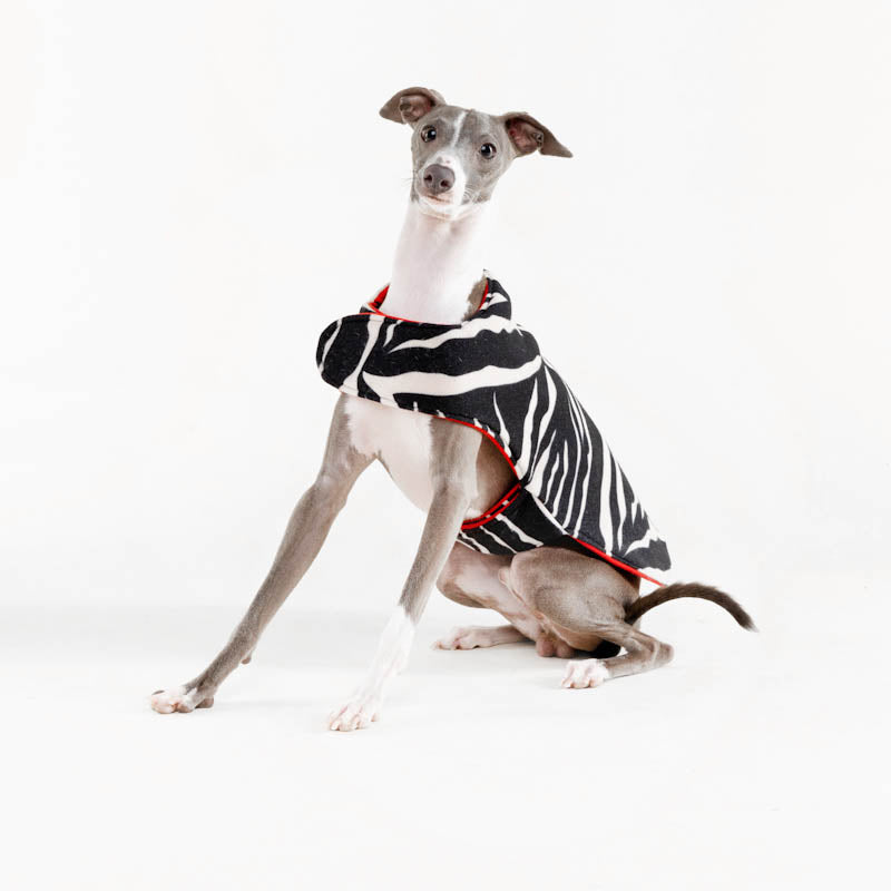 Lil' Red ~ dog jersey