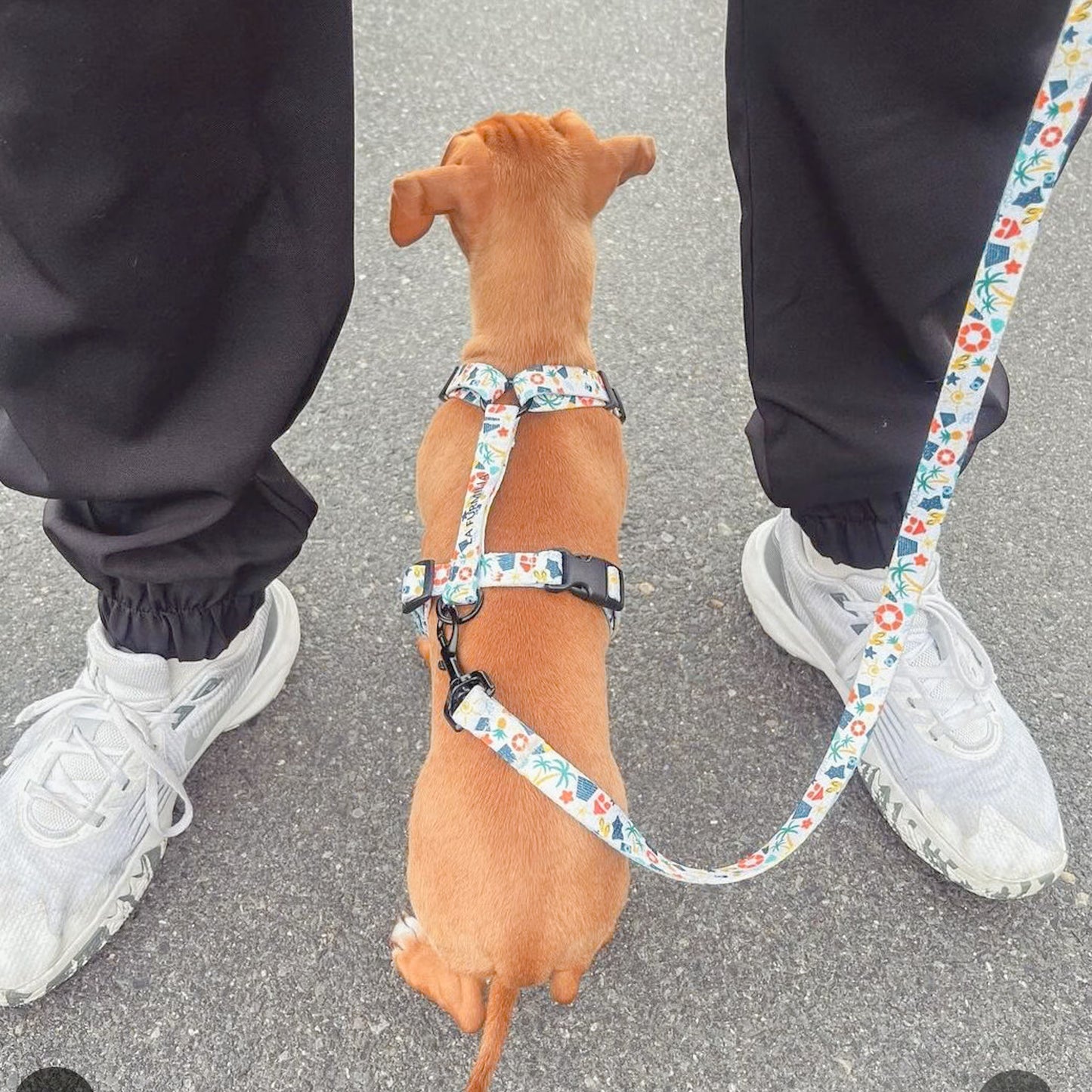 Dog harness ~ Beach Vibes Only