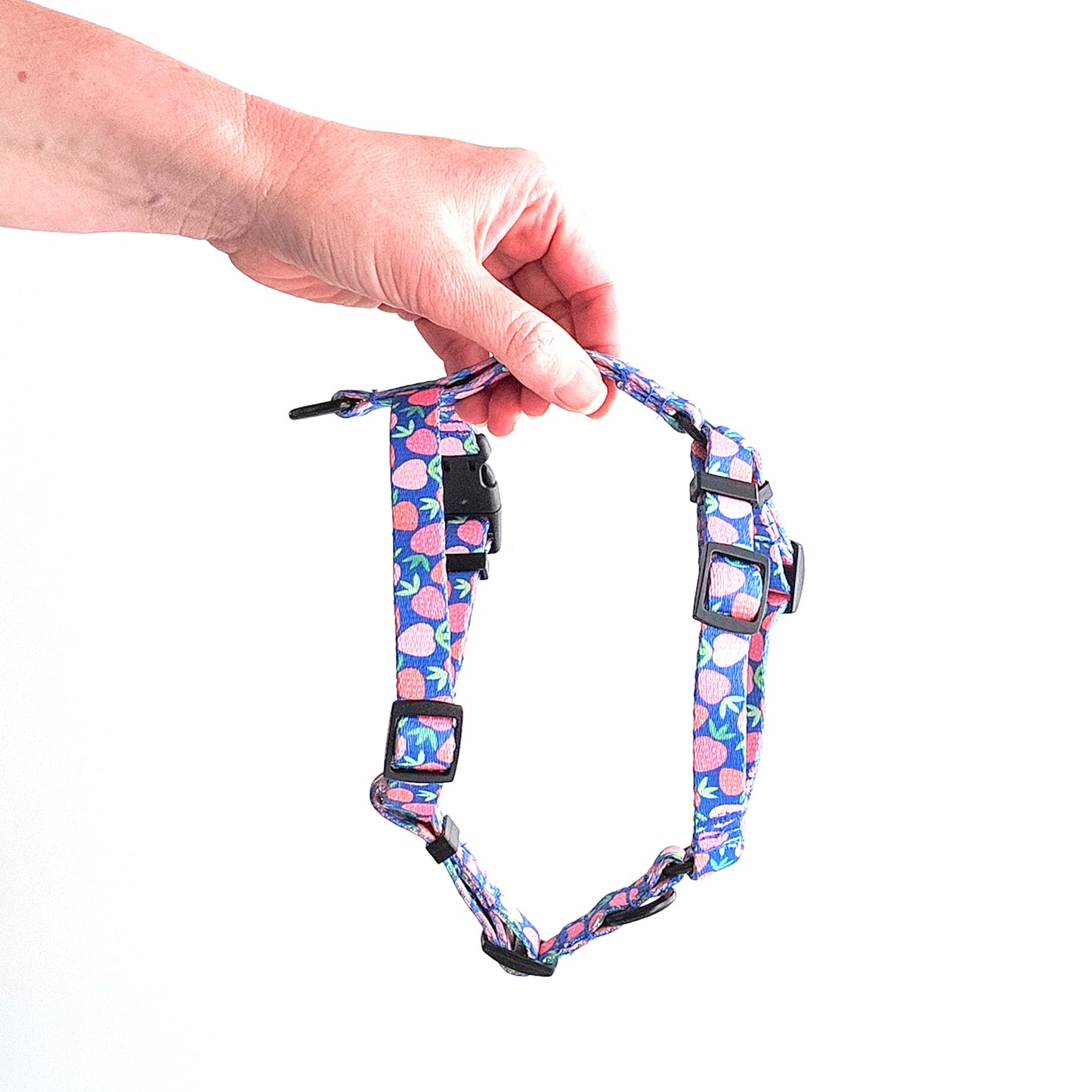Dog harness ~ Eat, Drink and Be Berry