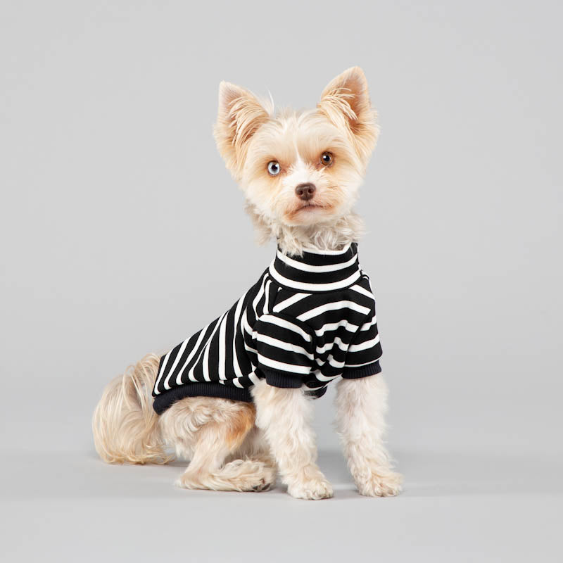 The Brittany stripe ~ dog jersey Black