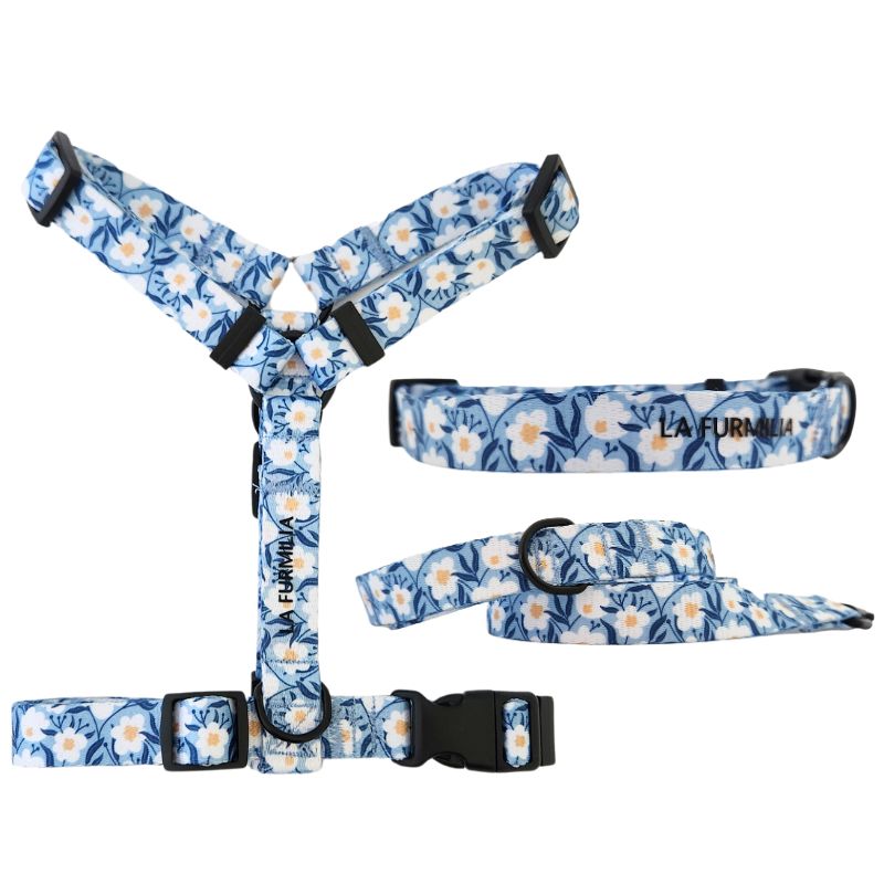 Oopsie Daisy Walk set