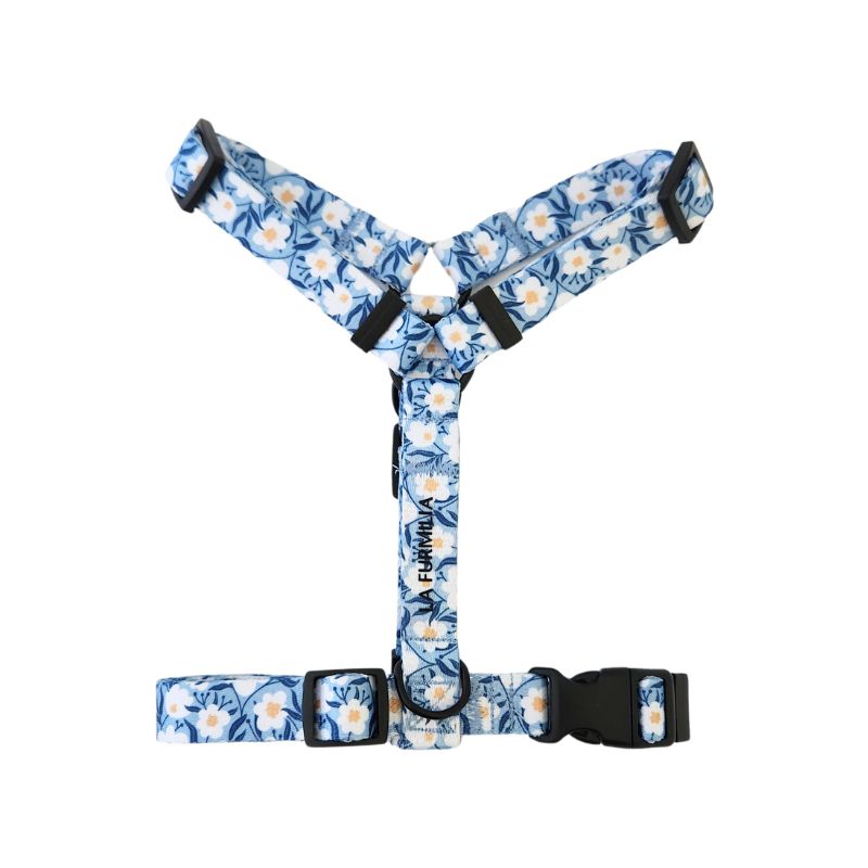 Dog harness ~ Oopsie Daisy