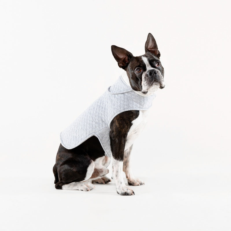 The quilted cardi ~ dog jersey