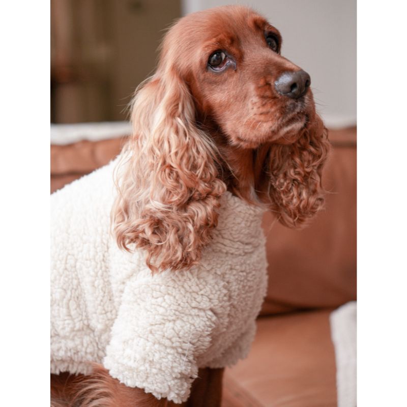Teddy Fleece ~ Creme de la Pup ~ dog jersey