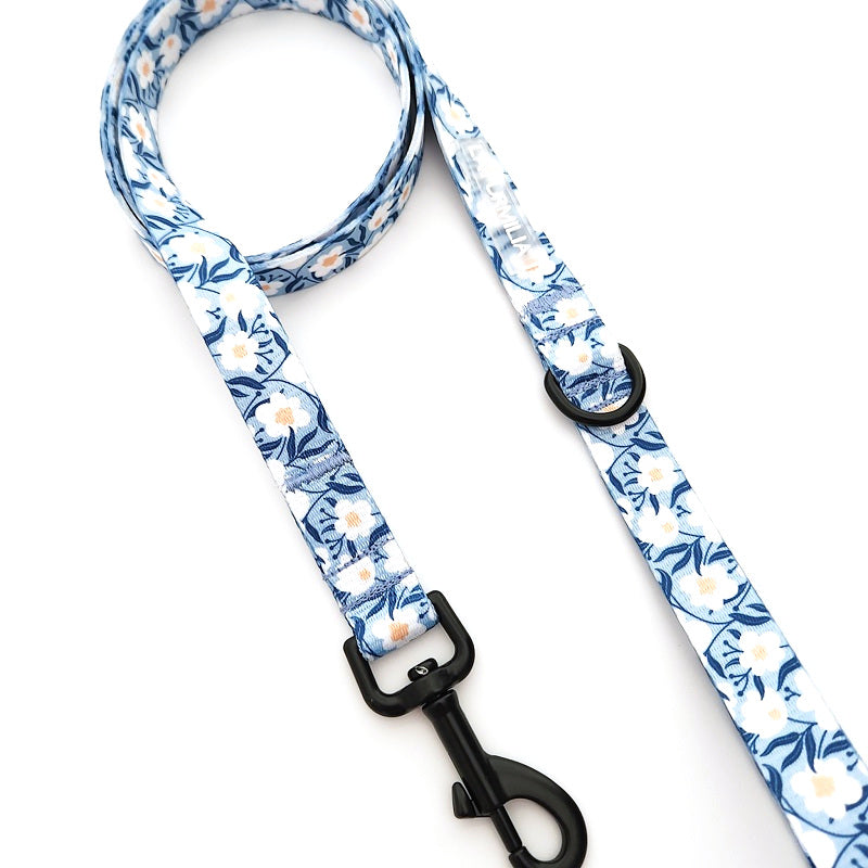 Oopsie Daisy ~ dog lead