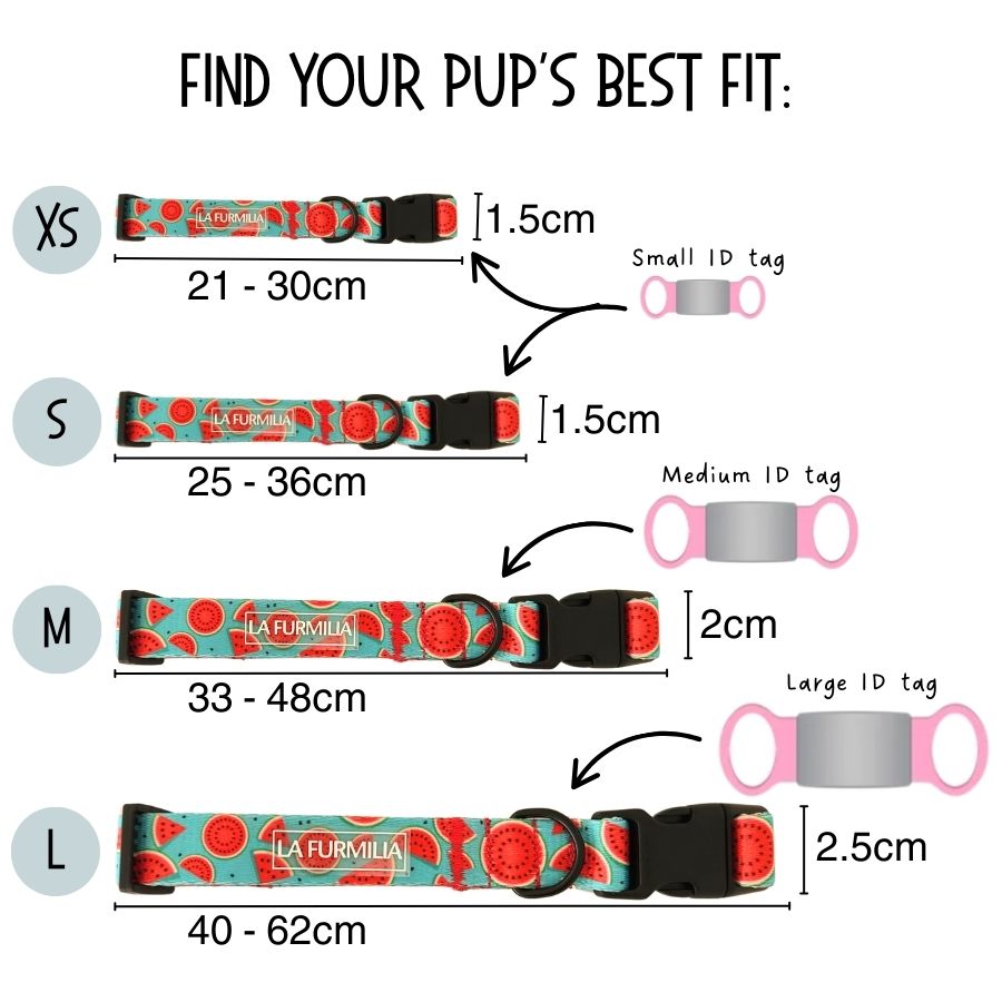 Dog Collar ~ Wild One