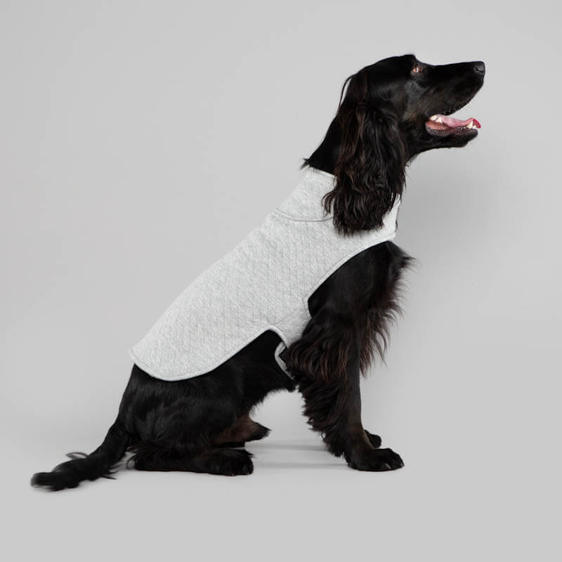 The quilted cardi ~ dog jersey