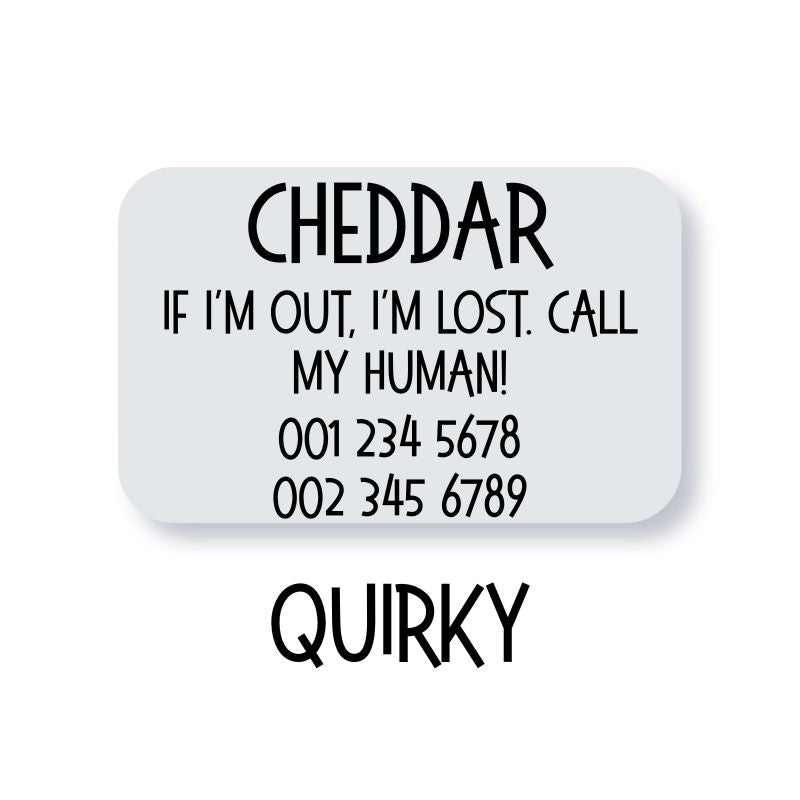 Silent slide-on pet ID tag (for dogs and cats)