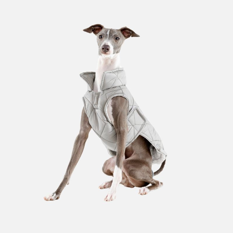The Puffer dog jacket ~ Light Olive