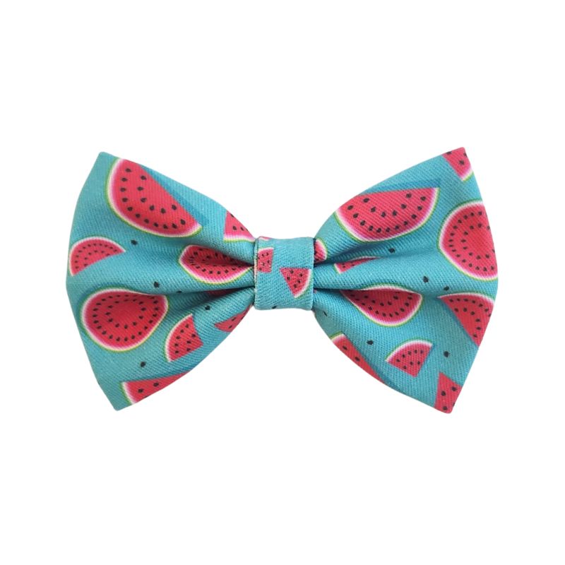Melon-Dramatic ~ dog bow tie