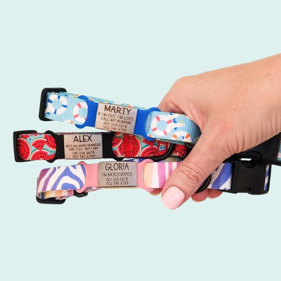5 reasons your dog and cat need a collar ID Tag