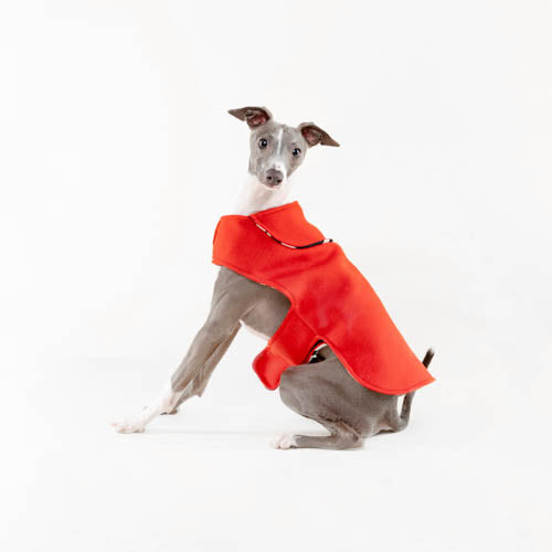 Introducing La Furmilia's Winter 2024 range of dog jerseys and dog puffers