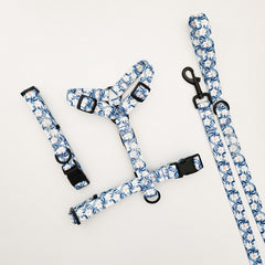 Oopsie Daisy ~ collar, lead and harness bundle