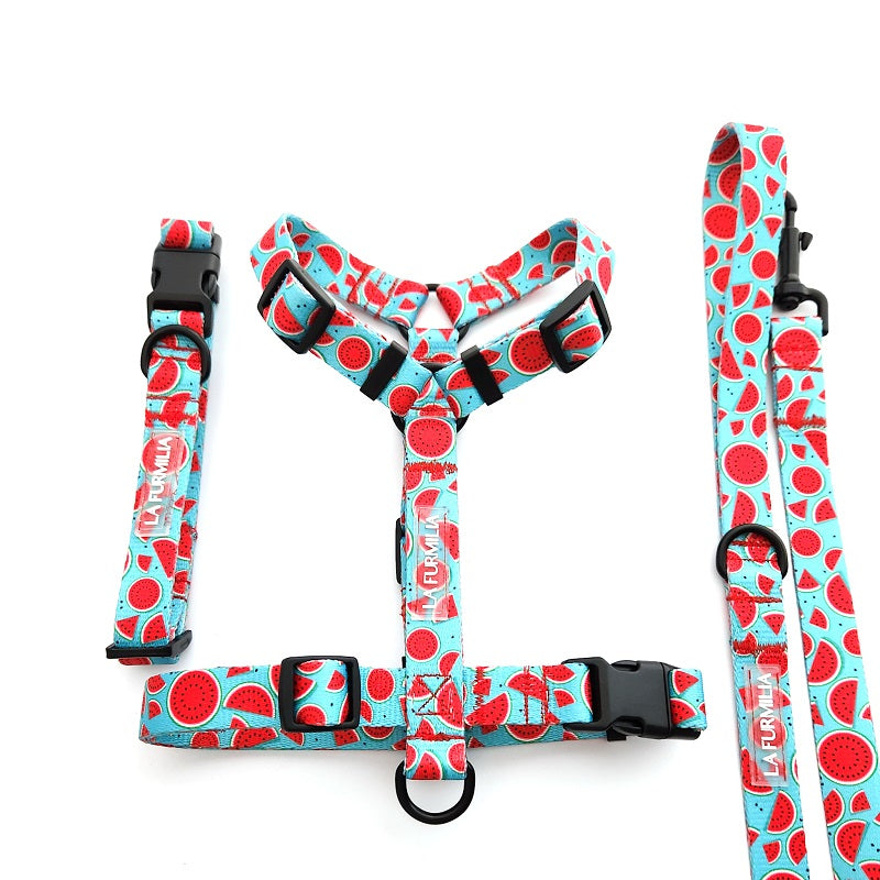 Melon-Dramatic ~ collar, lead and harness bundle