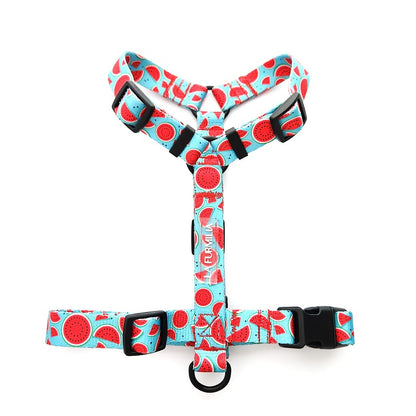 Dog harness ~ Melon-Dramatic