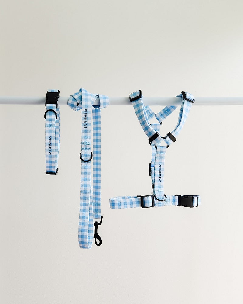 Dog harness ~ Blueberry Gingham