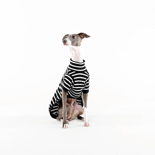 The Brittany stripe ~ dog jersey