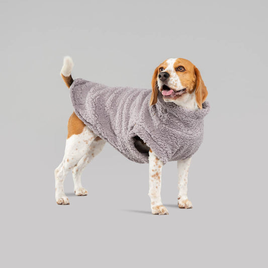 Teddy Fleece ~ Gray for Days ~ dog jersey