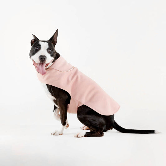 I Believe in Pink ~ dog jersey