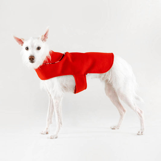 Lil' Red ~ dog jersey