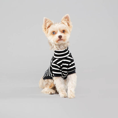 The Brittany stripe ~ dog jersey