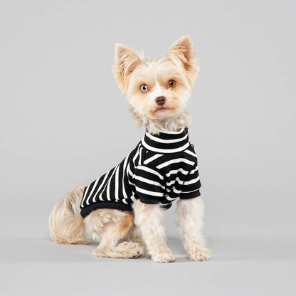 The Brittany stripe ~ dog jersey