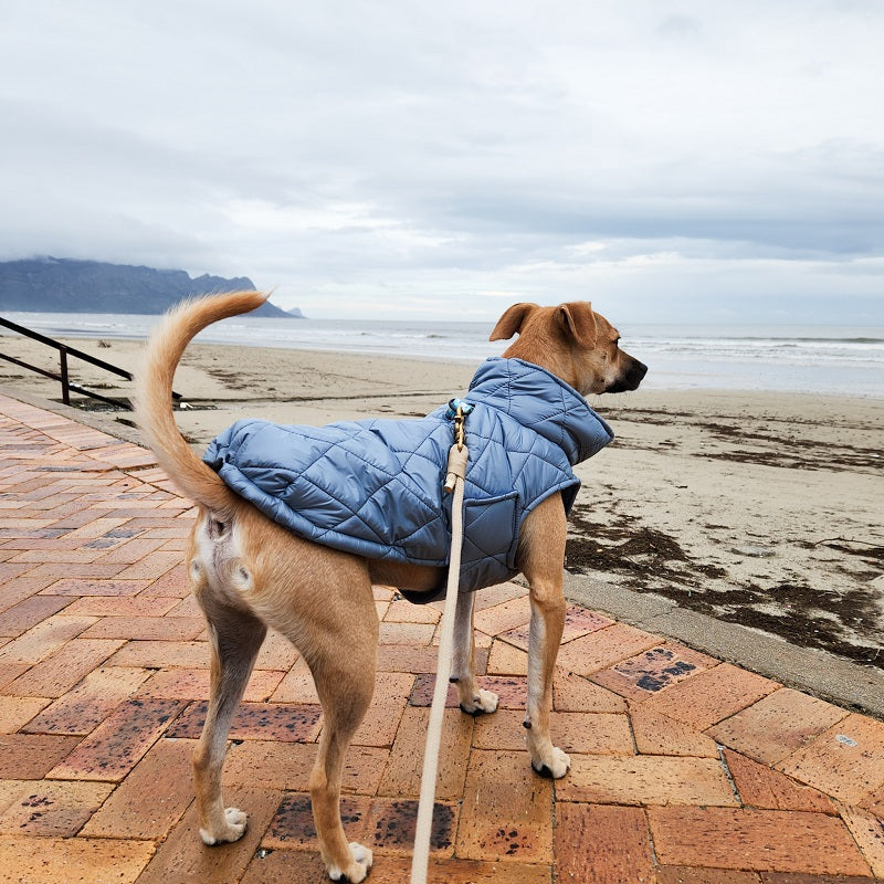 The Puffer dog jacket LA FURMILIA