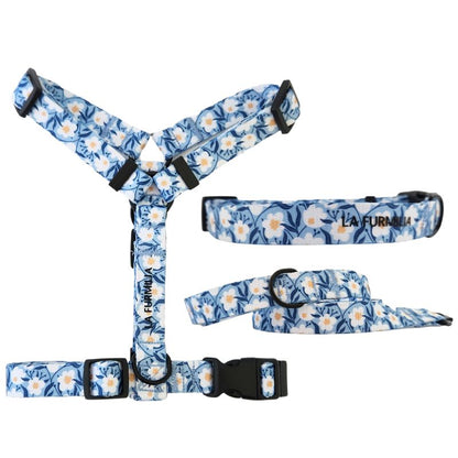 Oopsie Daisy Walk set