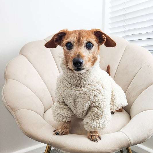 Teddy Fleece ~ Creme de la Pup ~ dog jersey