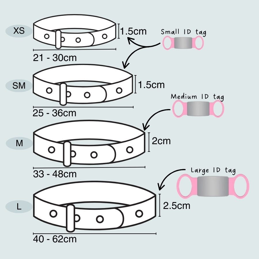 Illustration of dog collars with size chart and ID tag sizes on a light blue background