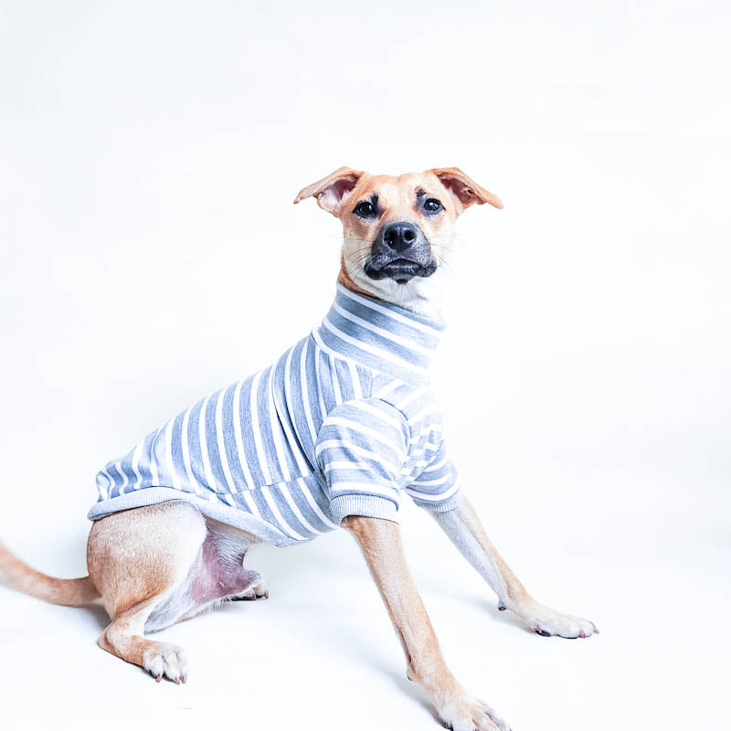 The Brittany stripe ~ dog jersey Gray