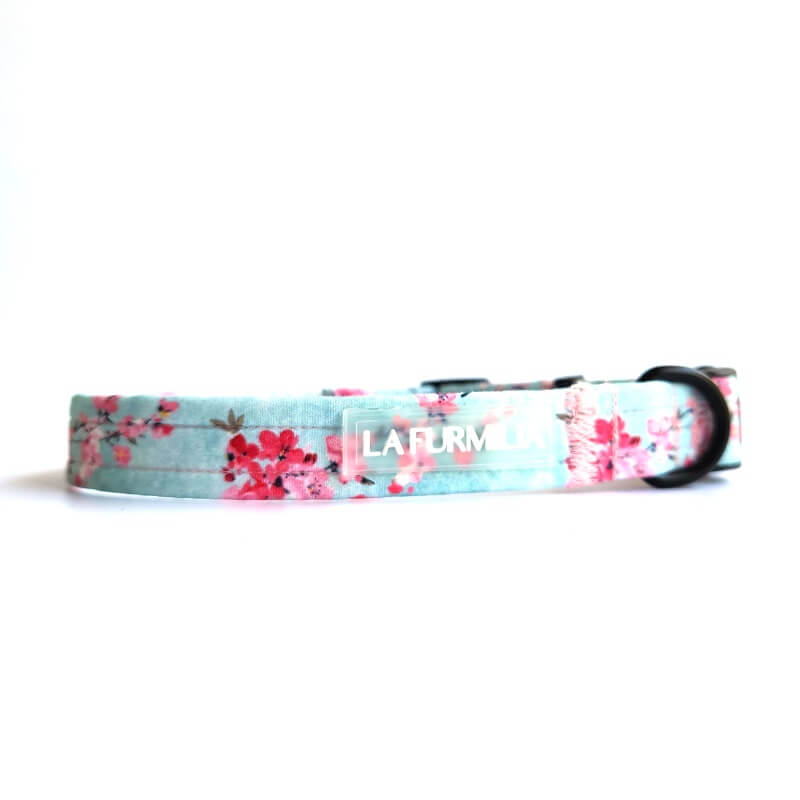 Dog collar ~ Cherry Oh Baby