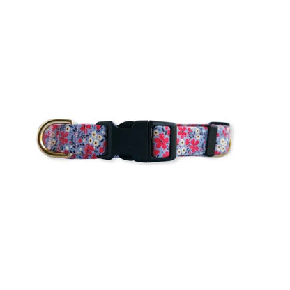 Dog collar ~ Petal to the Metal