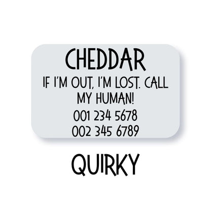 Silent slide-on pet ID tag (for dogs and cats)