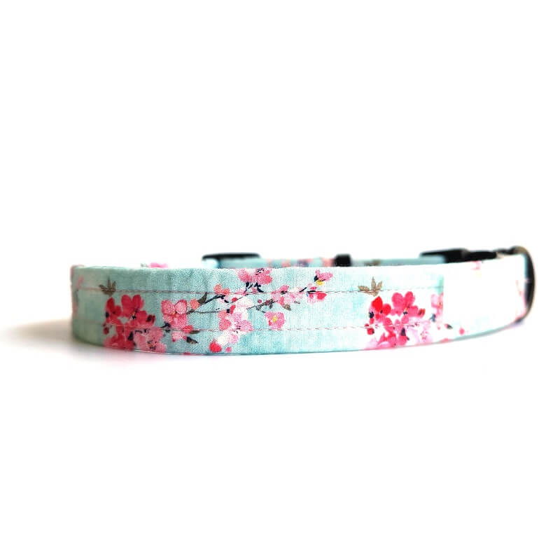 Dog collar ~ Cherry Oh Baby