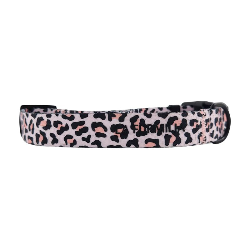 Wild One Dog Collar