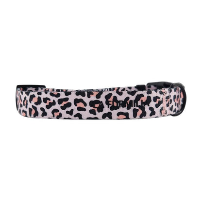 Dog Collar ~ Wild One