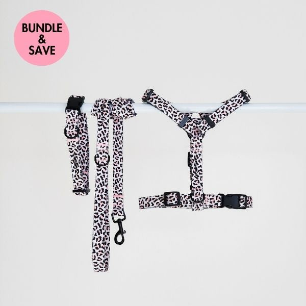 Wild One ~ collar, lead and harness bundle