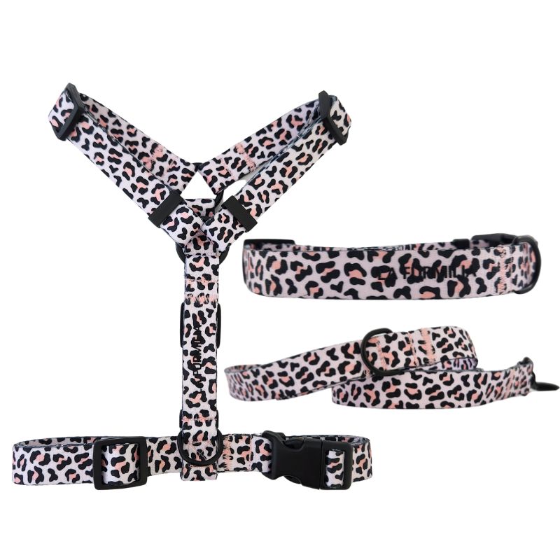 Wild One Walk set