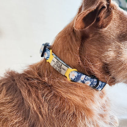 Silent slide-on pet ID tag (for dogs and cats)