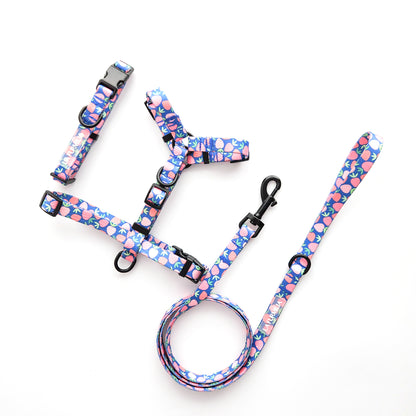 Eat, Drink and Be Berry ~ collar, lead and harness bundle