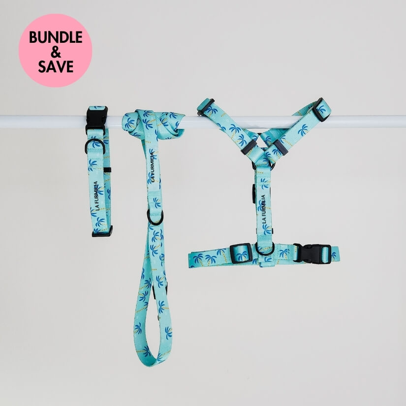 Tropic Like Its Hot ~ collar, lead and harness bundle