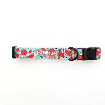 Dog collar ~ Melon-Dramatic