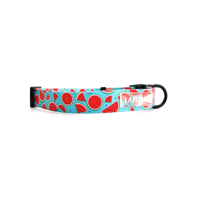 Dog collar ~ Melon-Dramatic