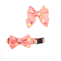 You're a Fineapple ~ dog bow tie